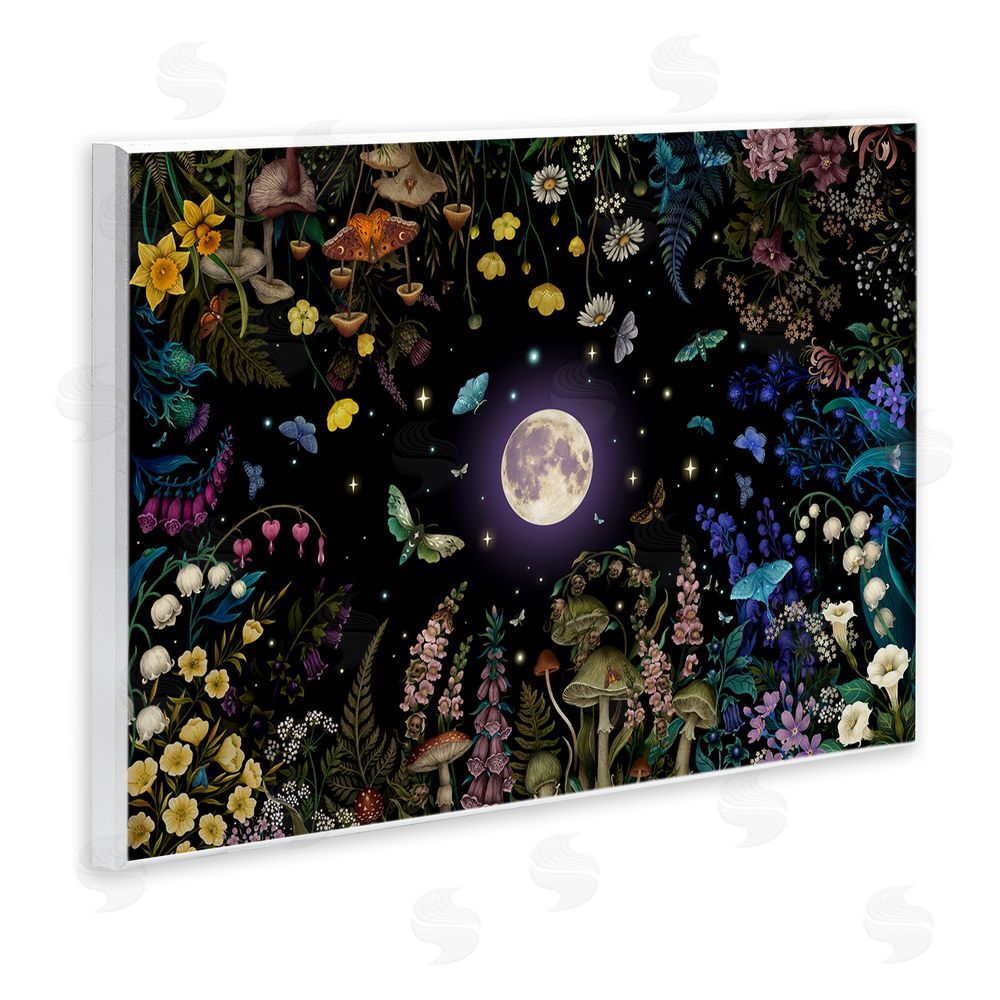 Episodic Drawings Night Garden with Moth Wooden Wall Plaque Art Print