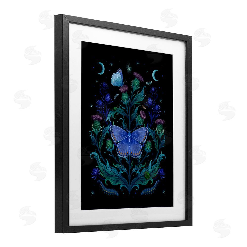 Episodic Drawings Thistles & Insects at Night Black Framed Print Under Glass Wall Art