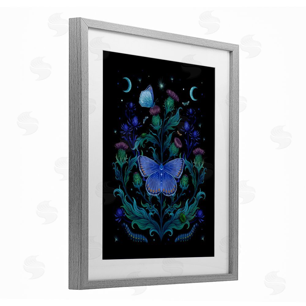 Episodic Drawings Thistles & Insects at Night Gray Framed Print Under Glass Wall Art
