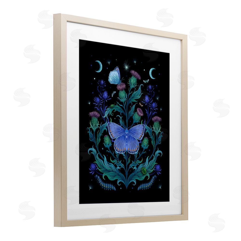 Episodic Drawings Thistles & Insects at Night Brown Framed Print Under Glass Wall Art