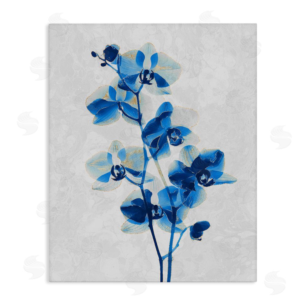 Ziwei Li Blue Orchid Silhouette Stretched Canvas Wall Art Print