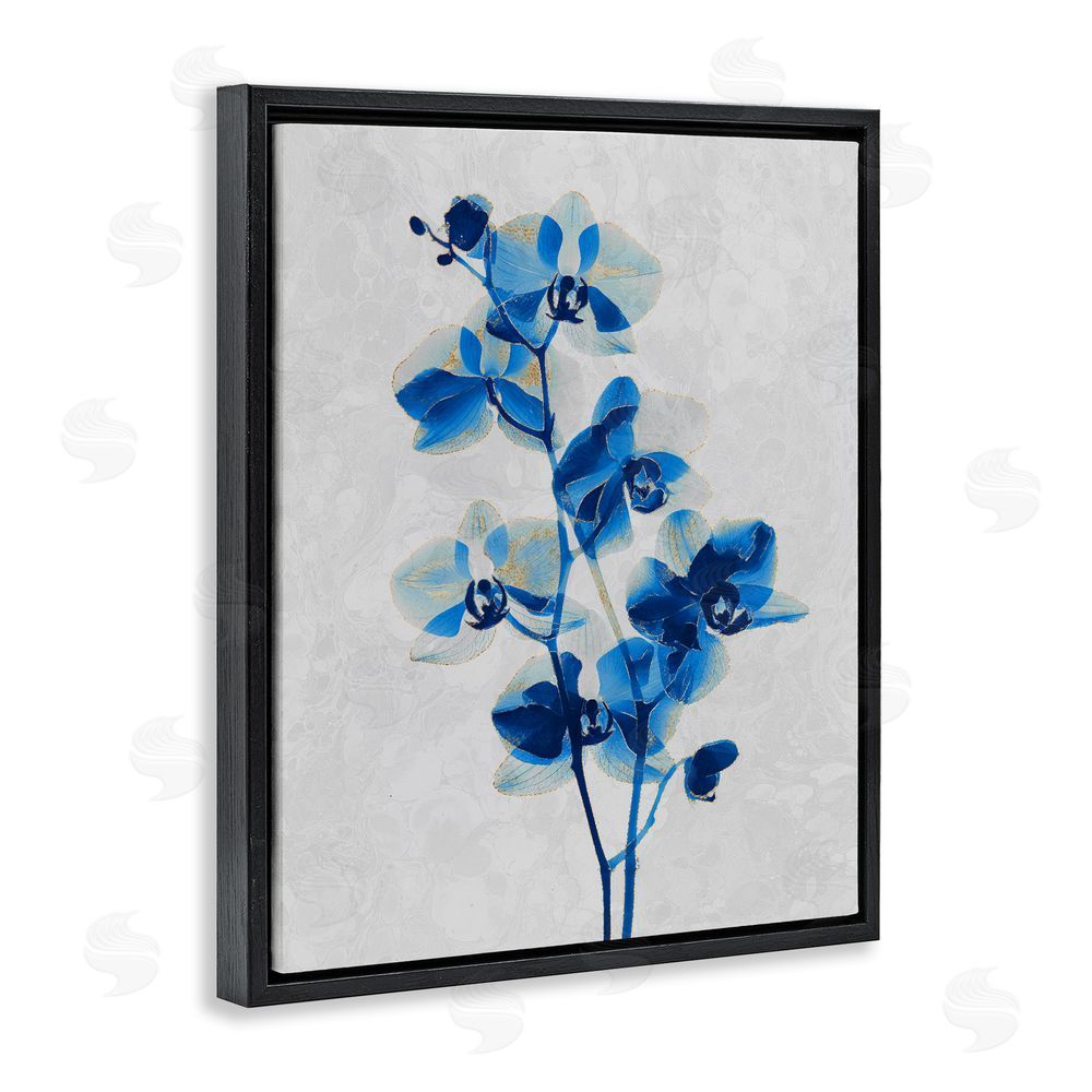 Ziwei Li Blue Orchid Silhouette Black Floating Frame Canvas Wall Art Print