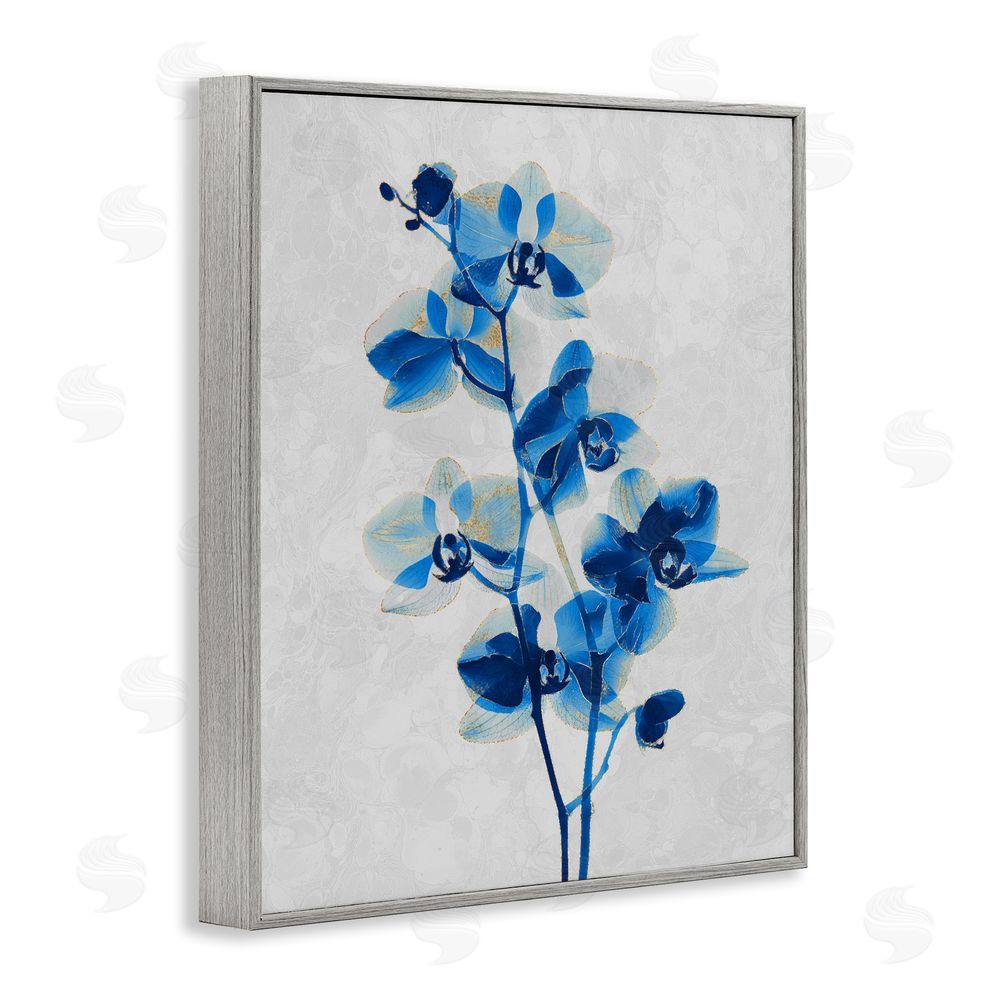 Ziwei Li Blue Orchid Silhouette Gray Framed Giclee Wall Art Print