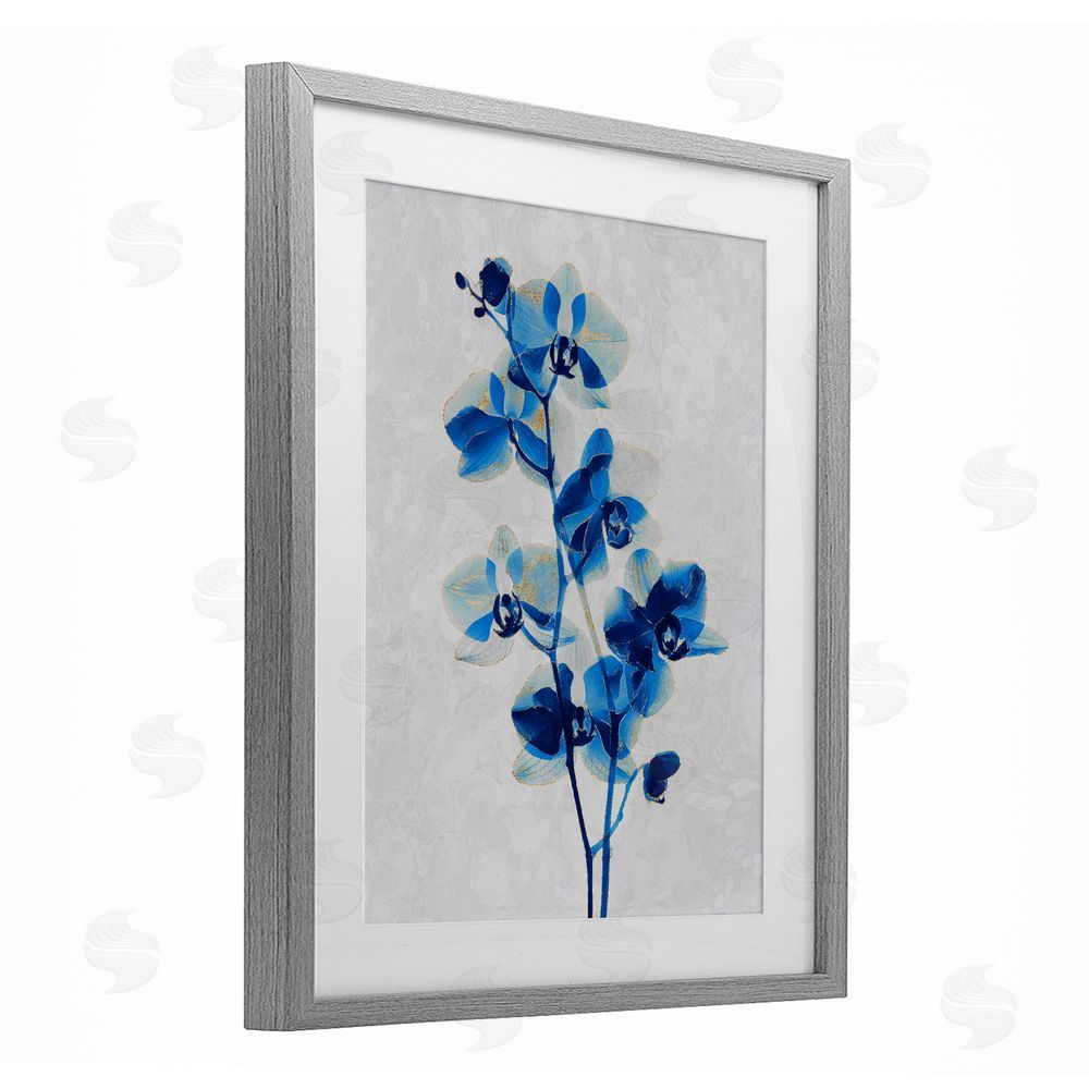 Ziwei Li Blue Orchid Silhouette Gray Framed Print Under Glass Wall Art