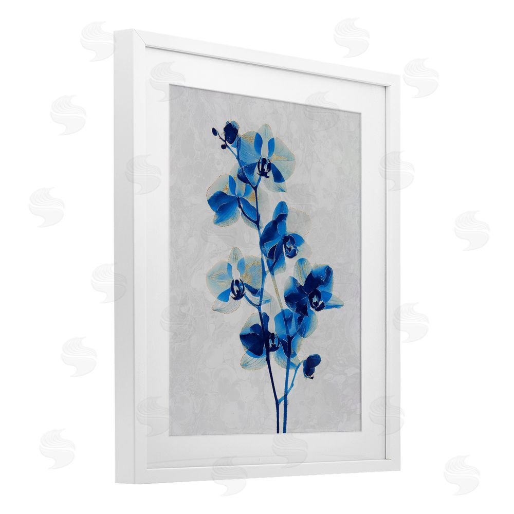 Ziwei Li Blue Orchid Silhouette White Framed Print Under Glass Wall Art
