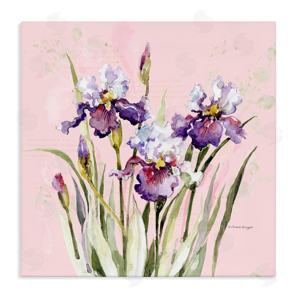 Susan Winget Purple Irises on Pink Stretched Canvas Wall Art Print