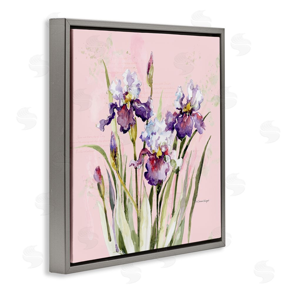 Susan Winget Purple Irises on Pink Gray Floating Frame Canvas Wall Art Print