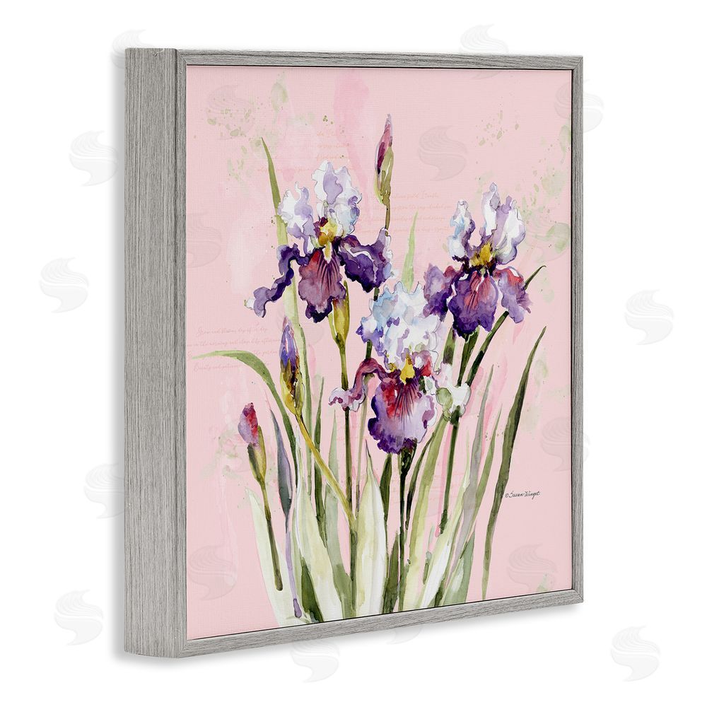 Susan Winget Purple Irises on Pink Gray Framed Giclee Wall Art Print