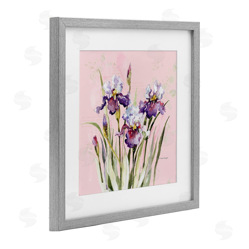 Susan Winget Purple Irises on Pink Gray Framed Print Under Glass Wall Art