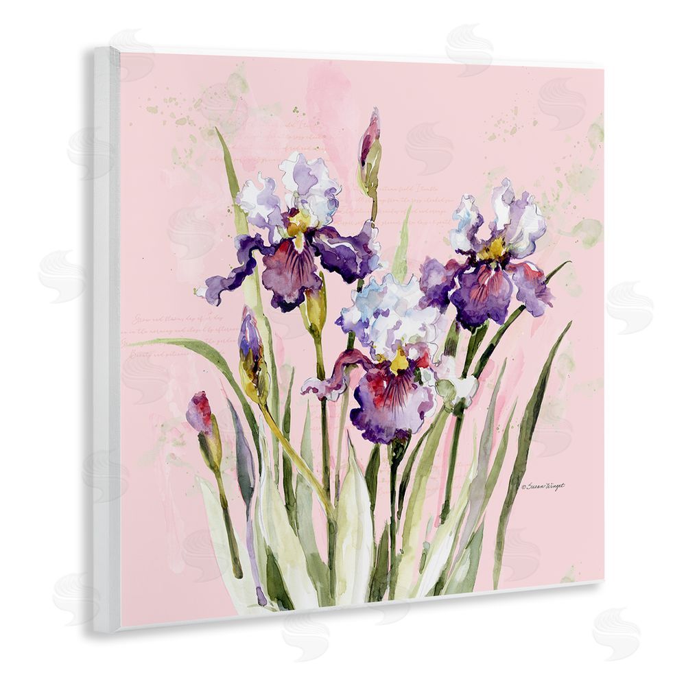 Susan Winget Purple Irises on Pink Wooden Wall Plaque Art Print