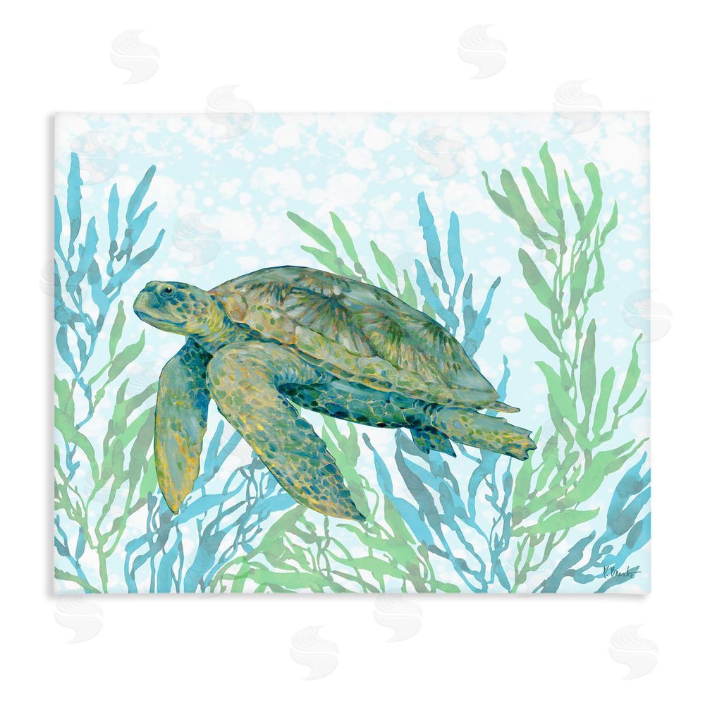 Paul Brent Tasman Turtle in Seagrass Stretched Canvas Wall Art Print