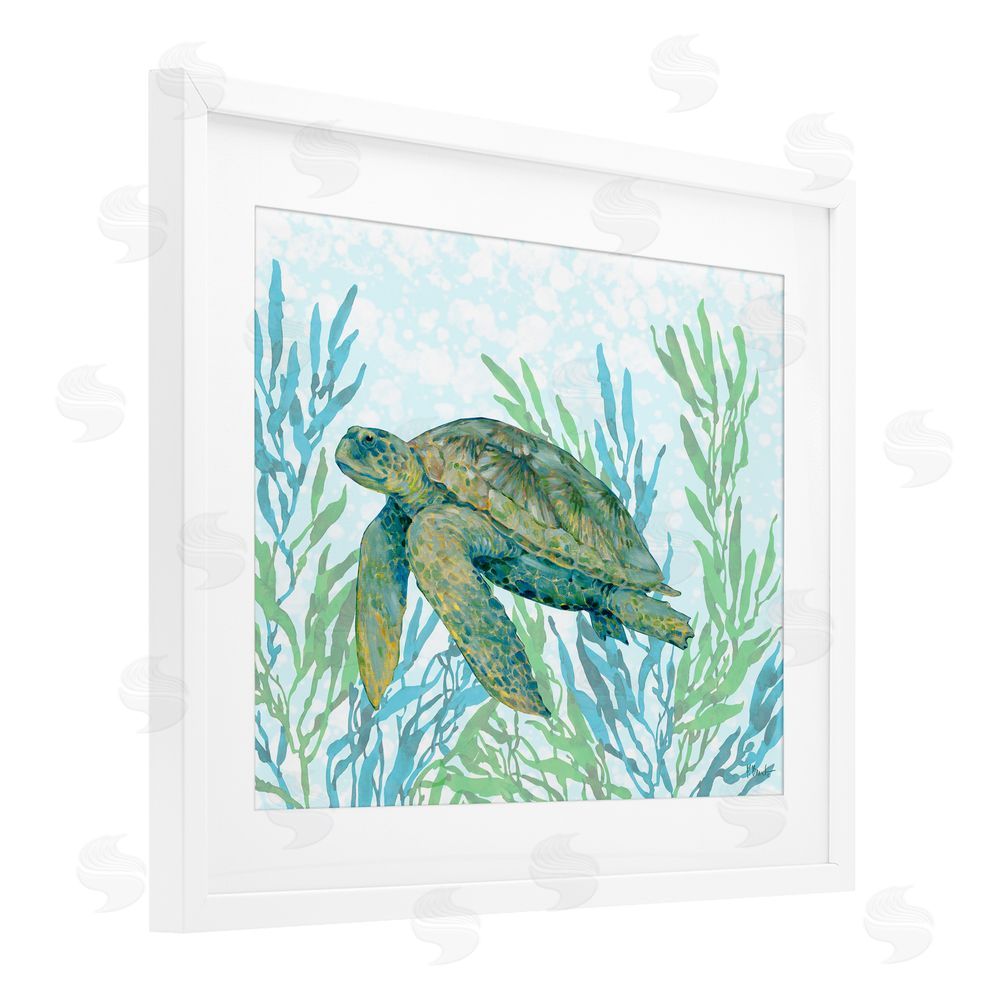 Paul Brent Tasman Turtle in Seagrass White Framed Print Under Glass with White Mat Wall Art