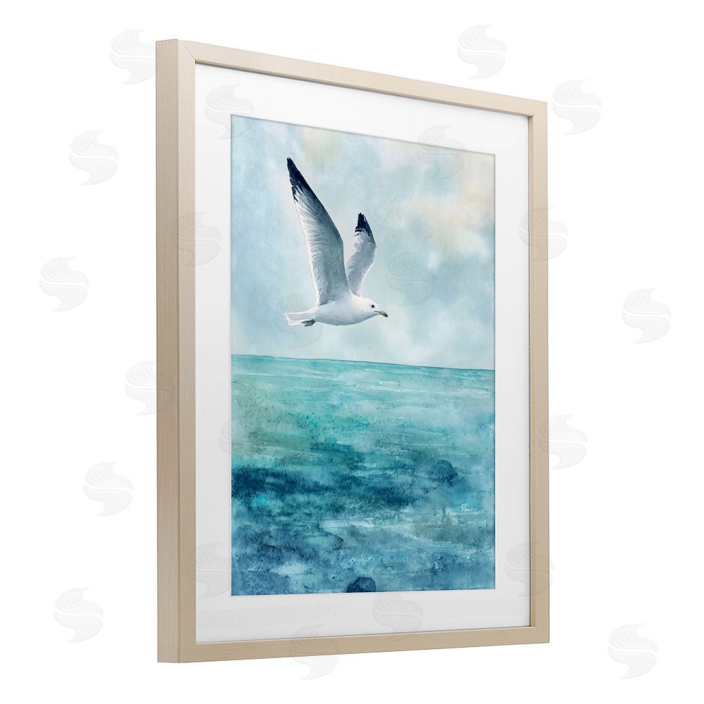 Franklyn Gregory Seagull With Black Tips Brown Framed Print Under Glass with White Mat Wall Art