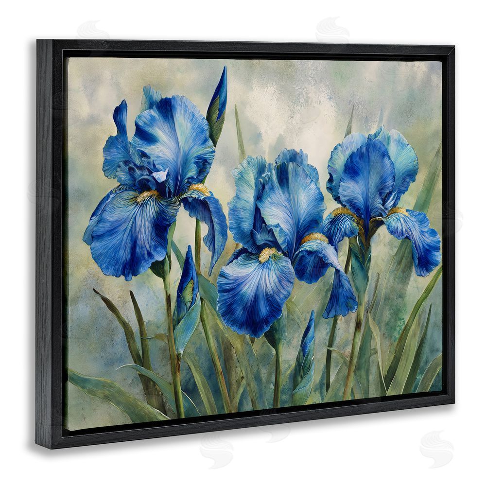 Franklyn Gregory Drawn Blue Iris Flowers Black Floating Frame Canvas Wall Art Print