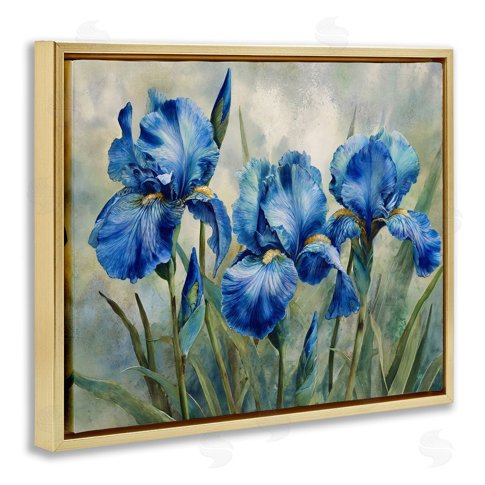 Franklyn Gregory Drawn Blue Iris Flowers Gold Floating Frame Canvas Wall Art Print