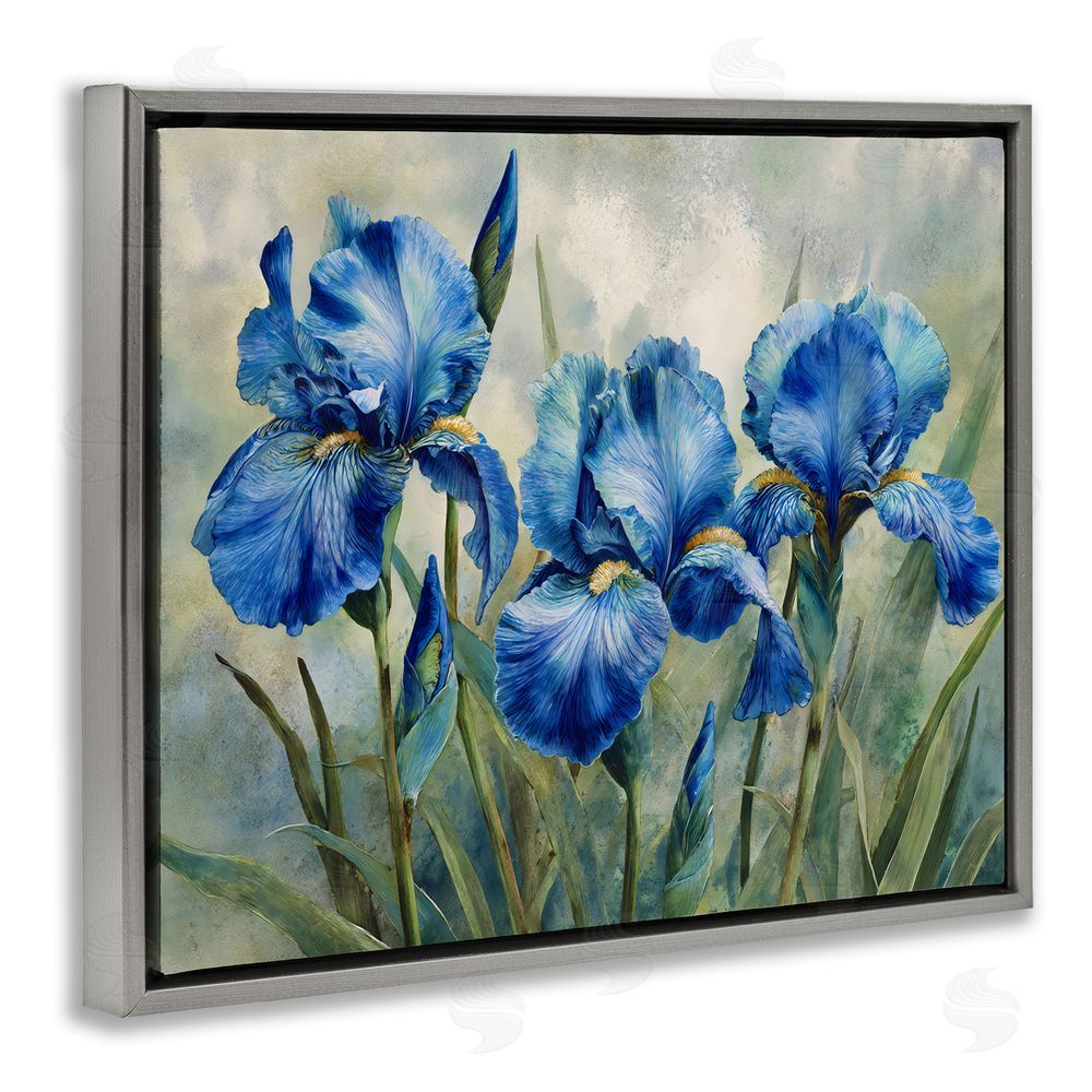 Franklyn Gregory Drawn Blue Iris Flowers Gray Floating Frame Canvas Wall Art Print