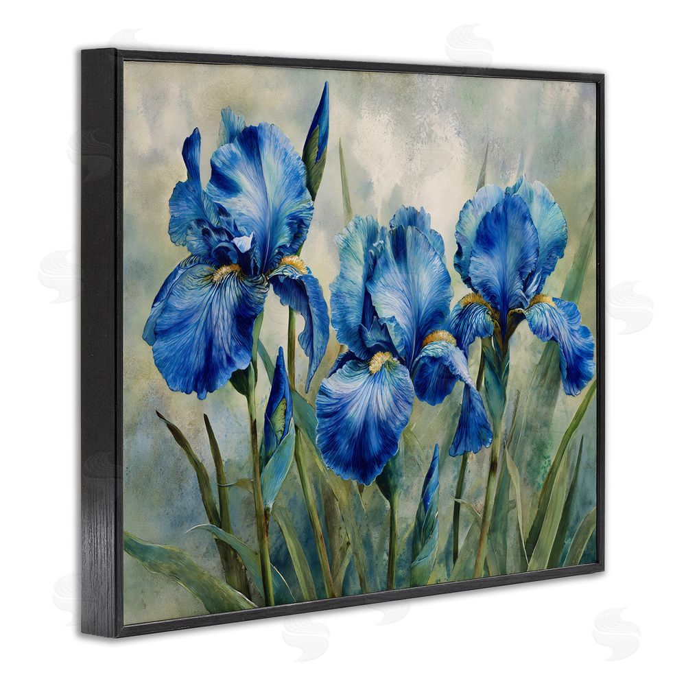 Franklyn Gregory Drawn Blue Iris Flowers Black Framed Giclee Wall Art Print