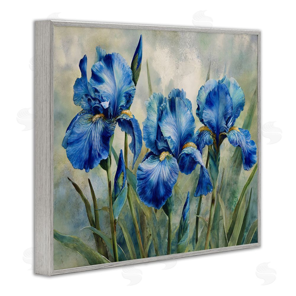 Franklyn Gregory Drawn Blue Iris Flowers Gray Framed Giclee Wall Art Print