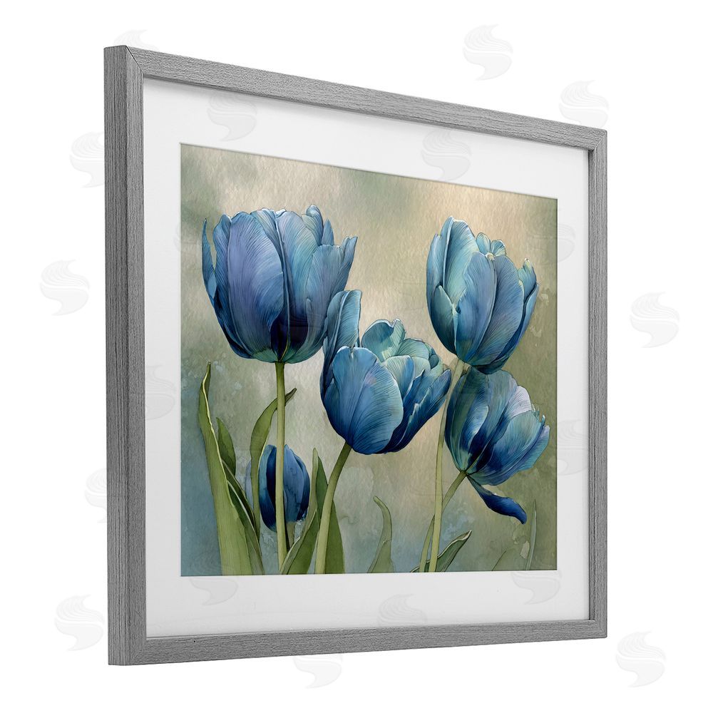 Franklyn Gregory Drawn Blue Tulip Flowers Gray Framed Print Under Glass Wall Art
