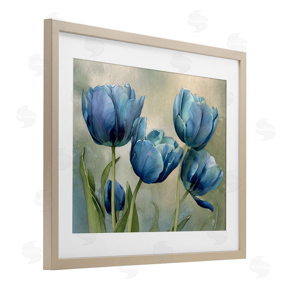 Franklyn Gregory Drawn Blue Tulip Flowers Brown Framed Print Under Glass Wall Art