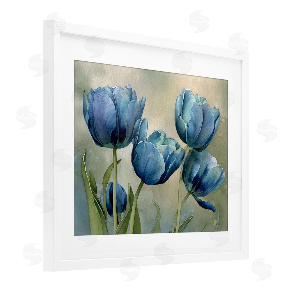 Franklyn Gregory Drawn Blue Tulip Flowers White Framed Print Under Glass Wall Art