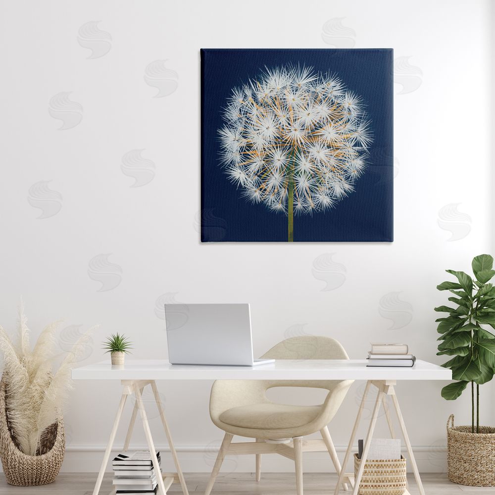 Liz Jardine Dandelion Seed Study Stretched Canvas Wall Art in Room