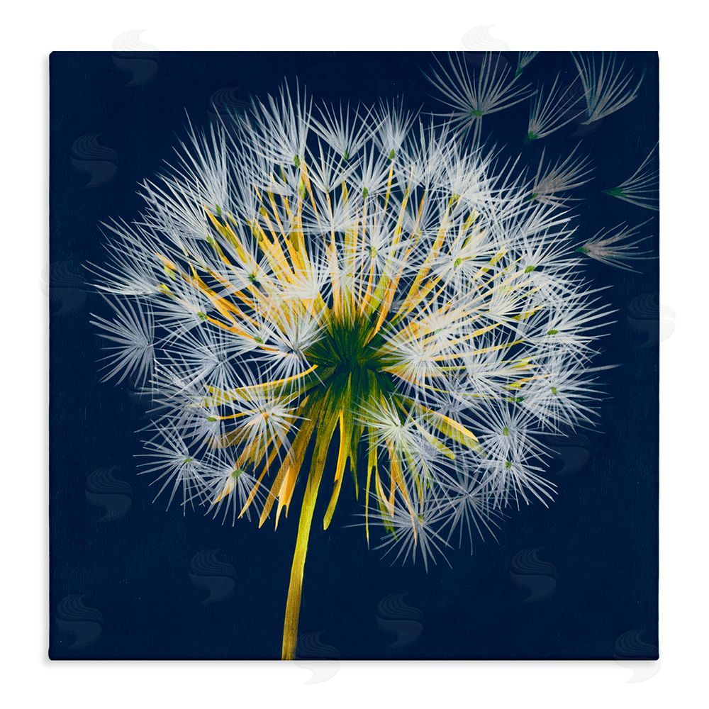 Liz Jardine Dandelion Cluster in the Wind Stretched Canvas Wall Art Print
