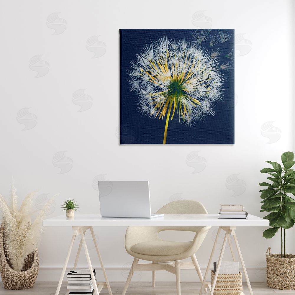 Liz Jardine Dandelion Cluster in the Wind Stretched Canvas Wall Art in Room