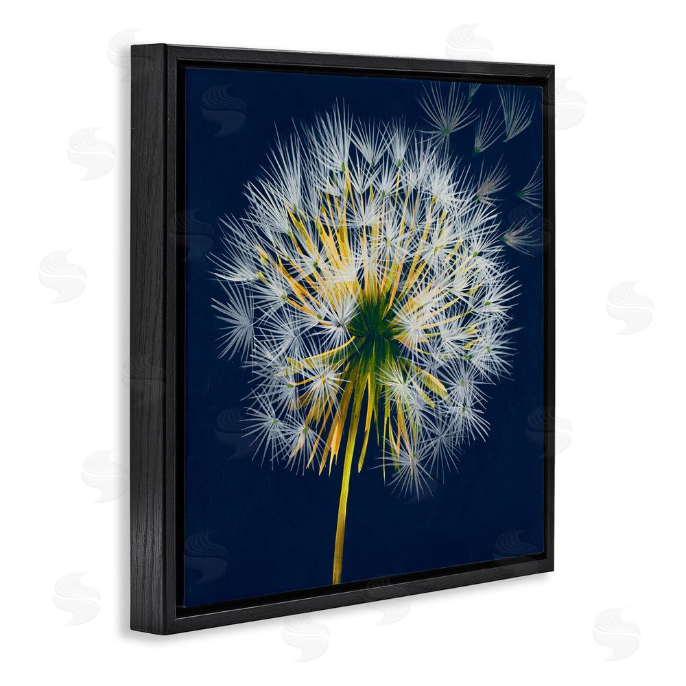 Liz Jardine Dandelion Cluster in the Wind Black Floating Frame Canvas Wall Art Print
