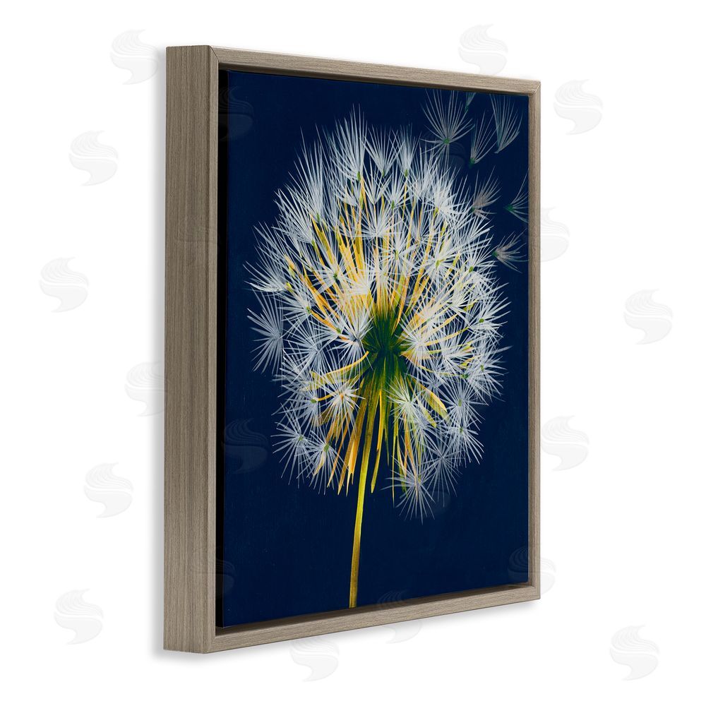 Liz Jardine Dandelion Cluster in the Wind Brown Floating Frame Canvas Wall Art Print