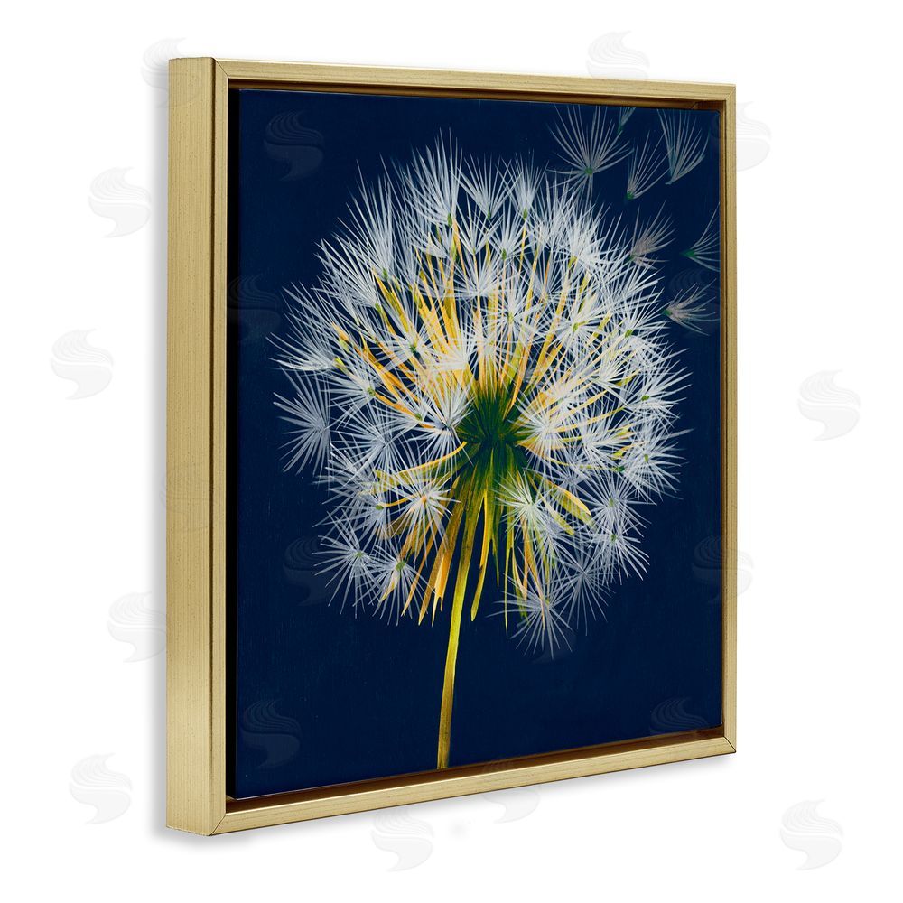 Liz Jardine Dandelion Cluster in the Wind Gold Floating Frame Canvas Wall Art Print