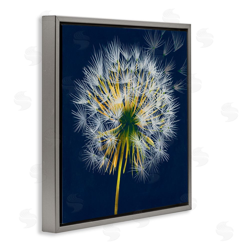 Liz Jardine Dandelion Cluster in the Wind Gray Floating Frame Canvas Wall Art Print