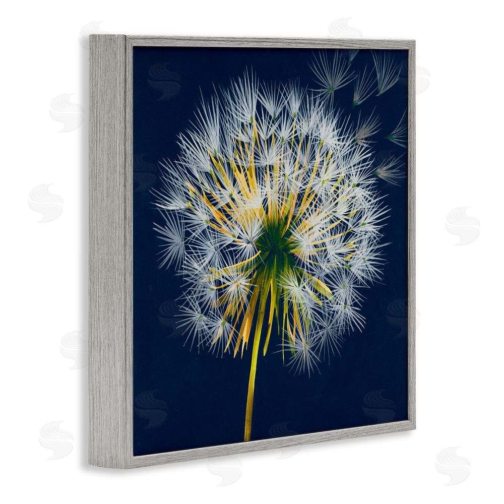 Liz Jardine Dandelion Cluster in the Wind Gray Framed Giclee Wall Art Print