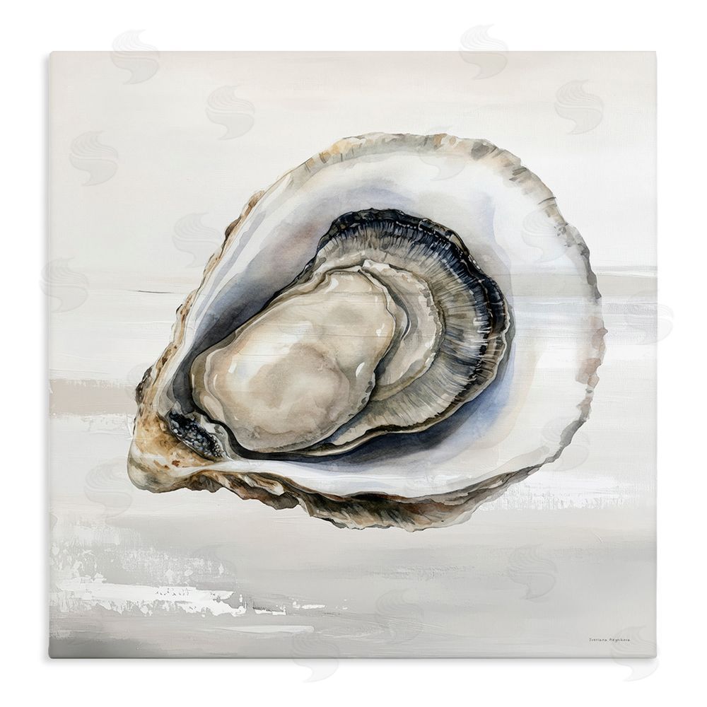 Svetlana Aleynikova Lonely Oyster Shell Stretched Canvas Wall Art Print