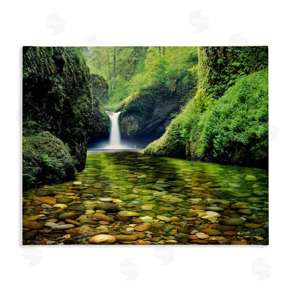Dennis Frates Punchbowl Falls in Emerald Forest Stretched Canvas Wall Art Print