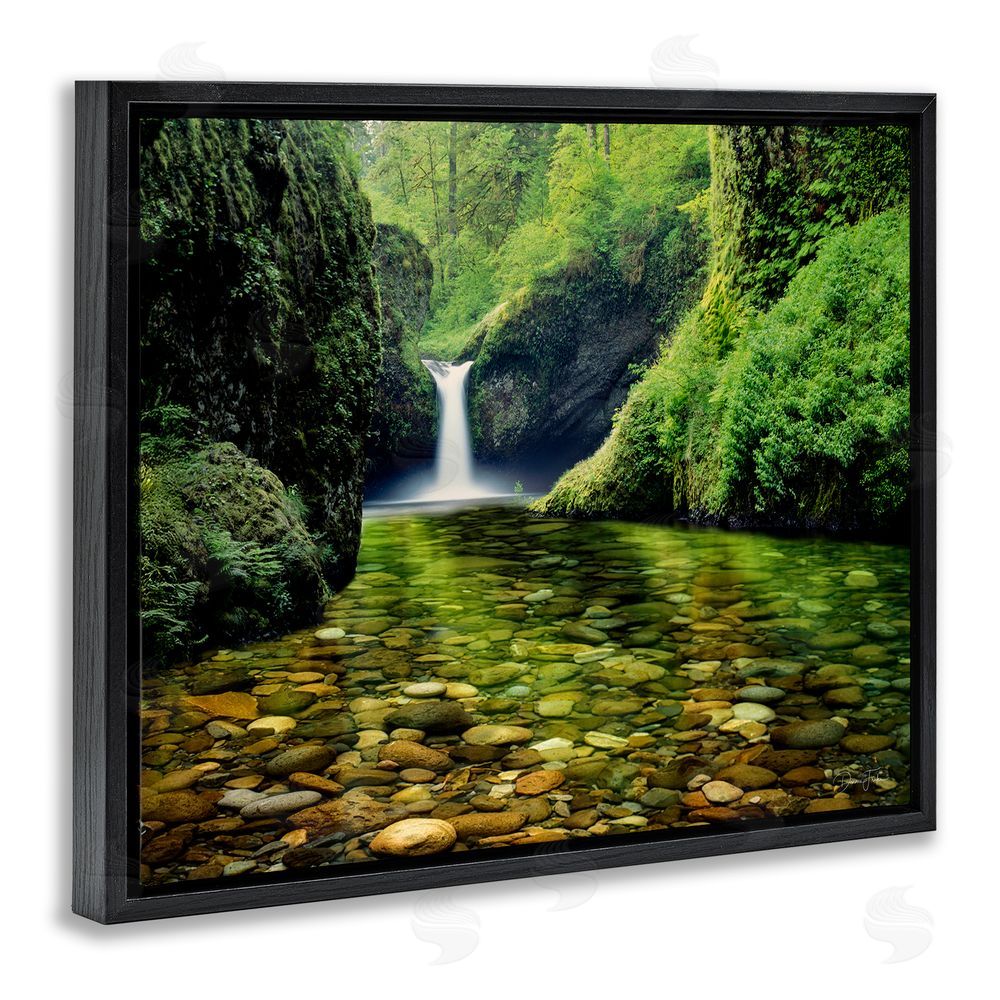 Dennis Frates Punchbowl Falls in Emerald Forest Black Floating Frame Canvas Wall Art Print