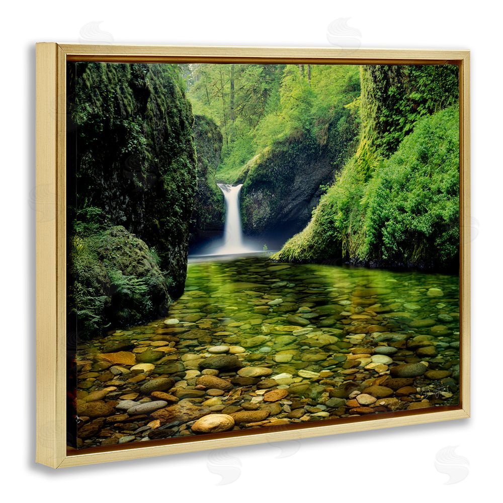 Dennis Frates Punchbowl Falls in Emerald Forest Gold Floating Frame Canvas Wall Art Print