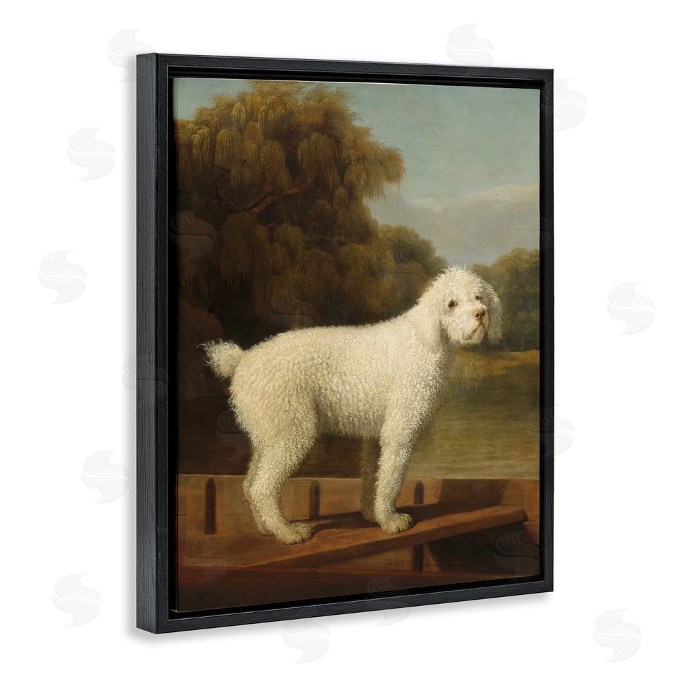 Tina LeCour White Poodle in a Punt Black Floating Frame Canvas Wall Art Print