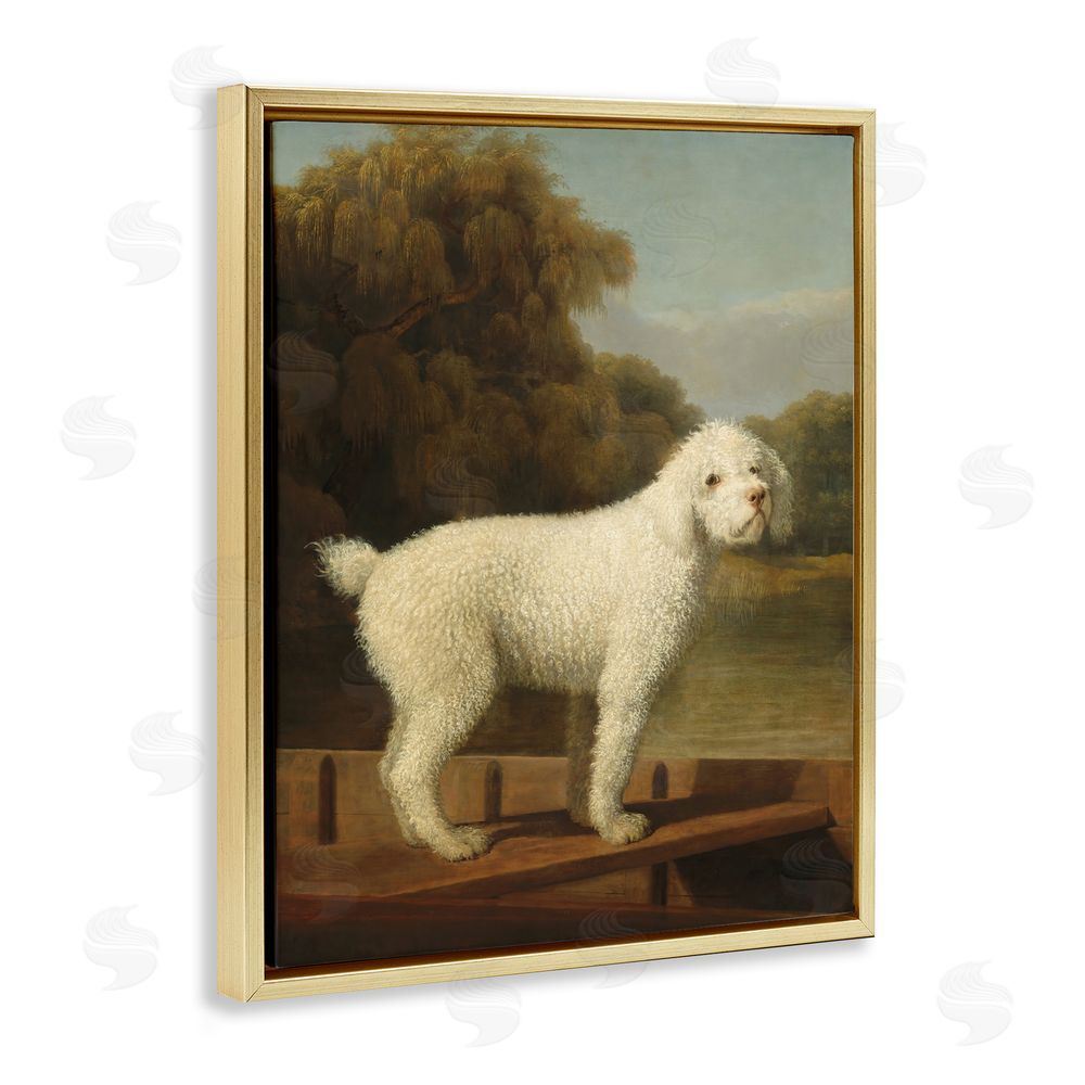 Tina LeCour White Poodle in a Punt Gold Floating Frame Canvas Wall Art Print