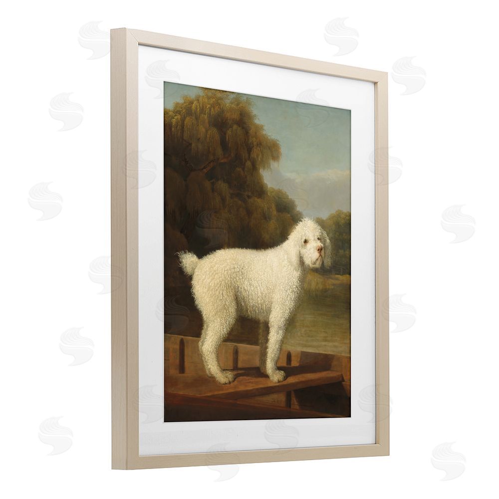 Tina LeCour White Poodle in a Punt Brown Framed Print Under Glass Wall Art