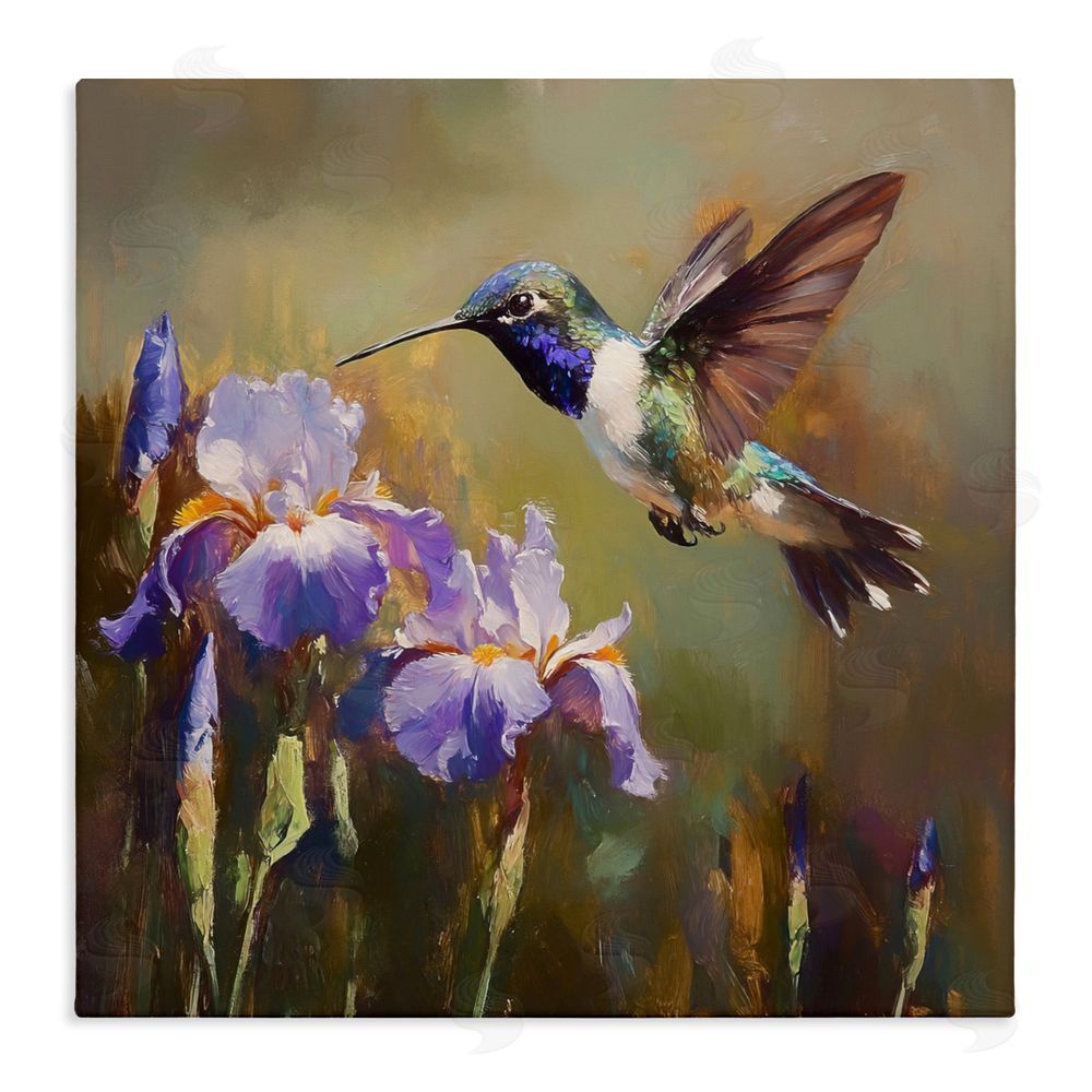Tina LeCour Hummingbird & Purple Irises Stretched Canvas Wall Art