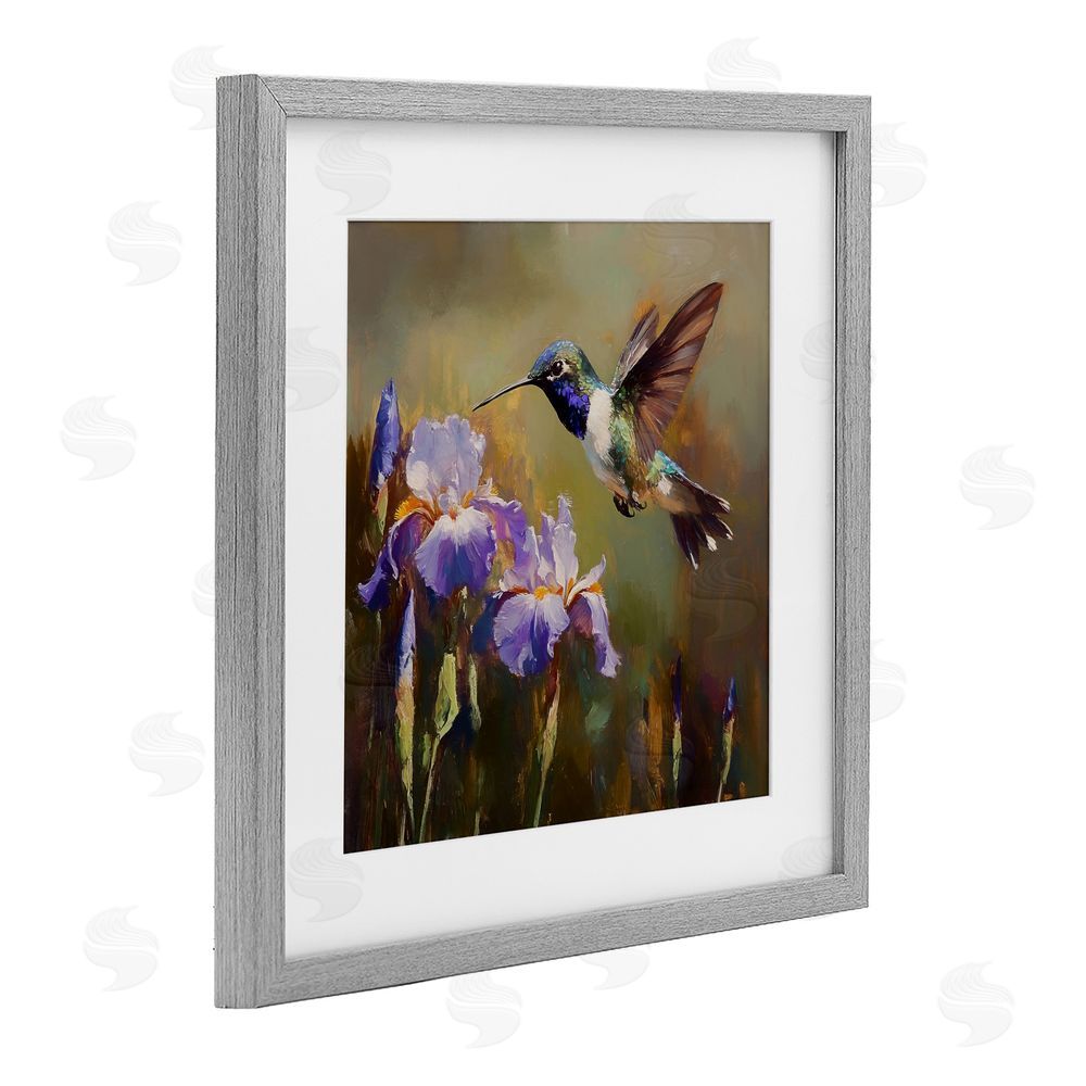 Tina LeCour Hummingbird & Purple Irises Gray Framed Print Under Glass with Mat Wall Art