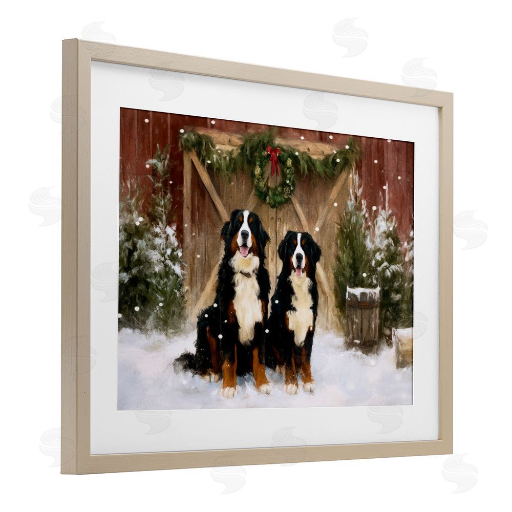 Tina LeCour Barnyard Bernese Mountain Dogs Birch Framed Print Under Glass Wall Art