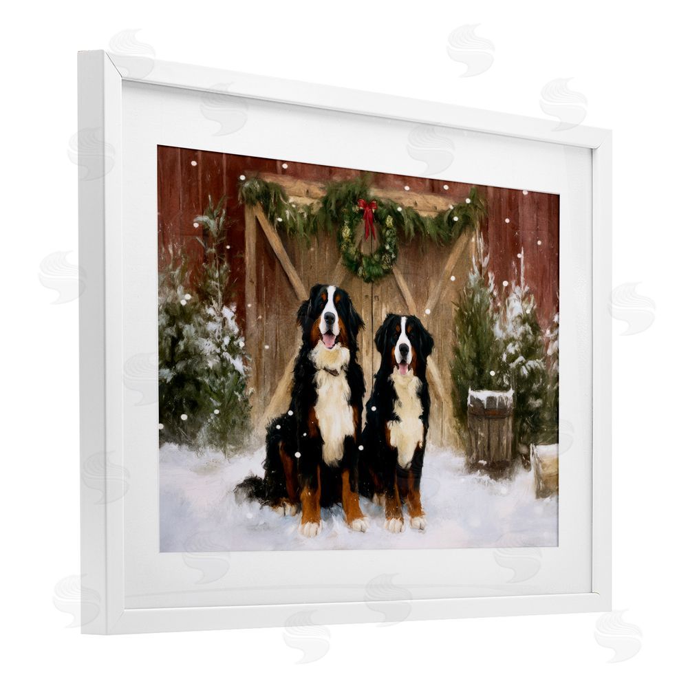 Tina LeCour Barnyard Bernese Mountain Dogs White Framed Print Under Glass Wall Art