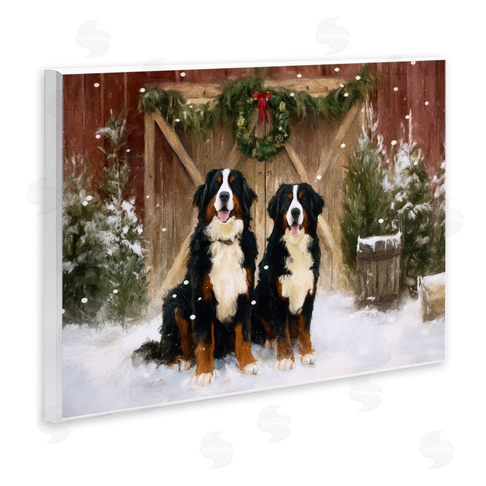 Tina LeCour Barnyard Bernese Mountain Dogs Wall Plaque Art Print