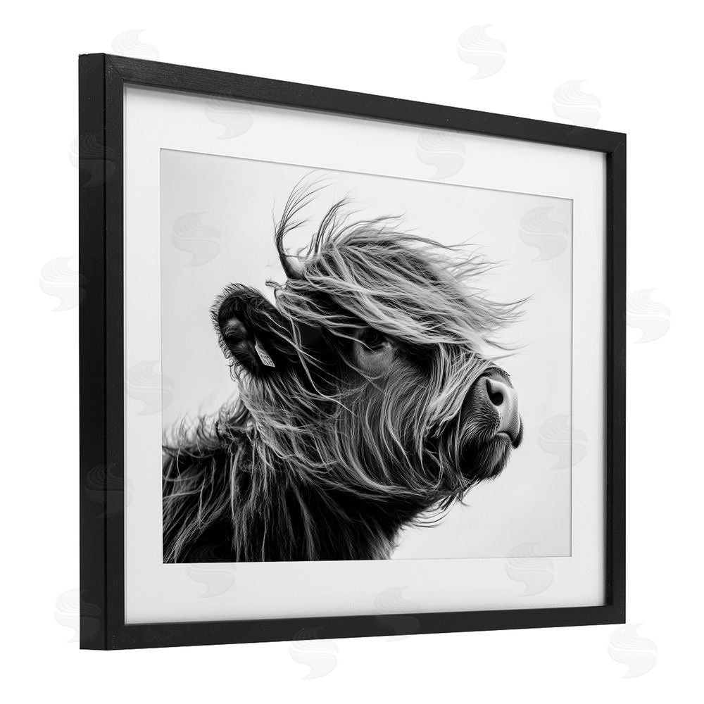 Tina LeCour Handsome Highland Portrait Black Framed Print Under Glass with Mat Wall Art