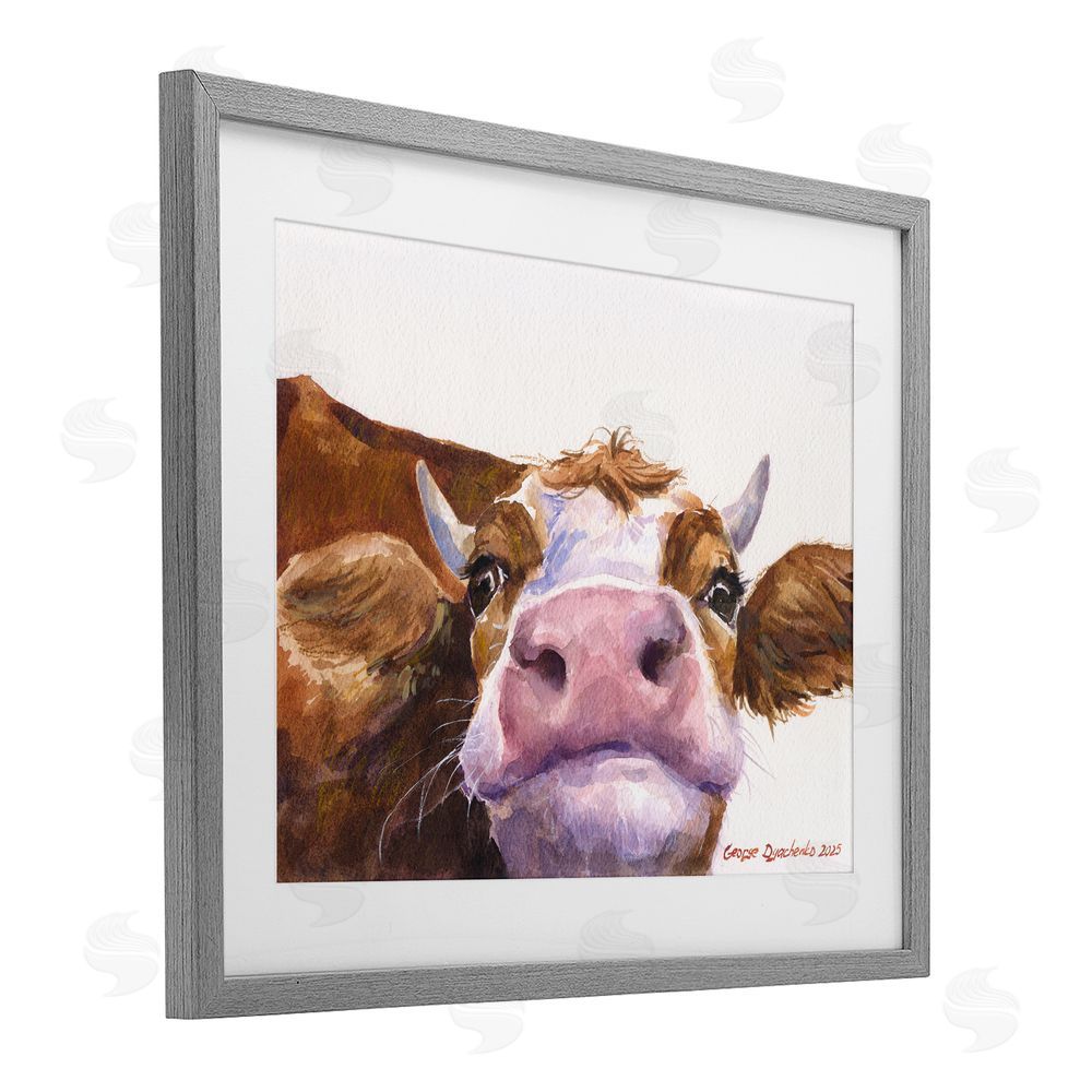 George Dyachenko Cute Cow Close Up Gray Framed Print Under Glass Wall Art