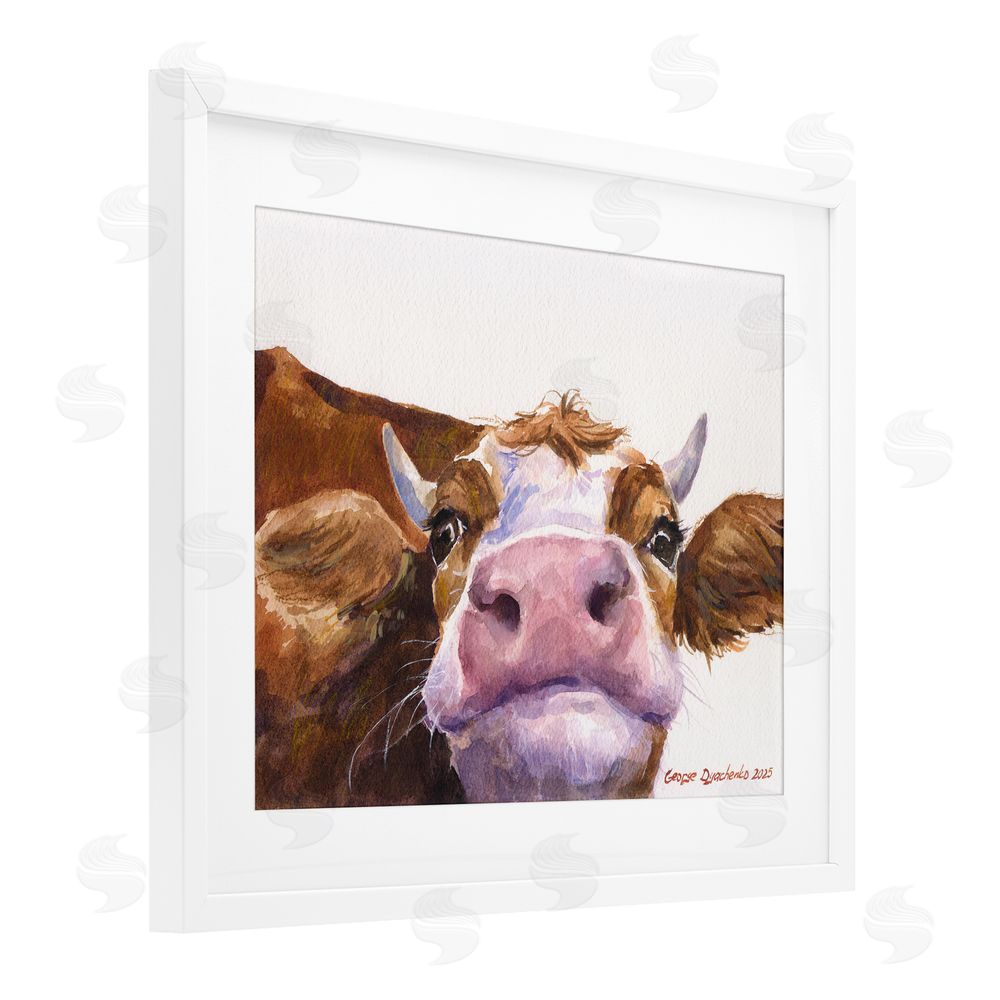 George Dyachenko Cute Cow Close Up White Framed Print Under Glass Wall Art