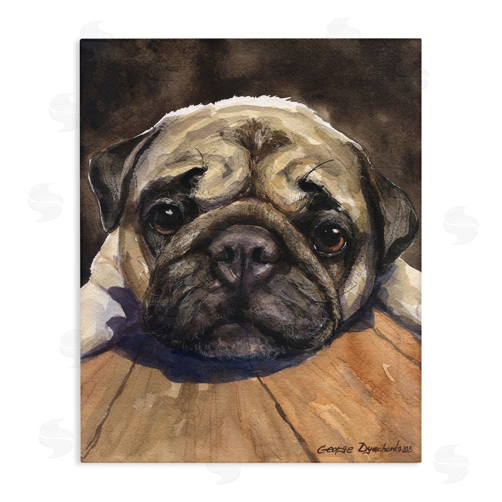 George Dyachenko Pug Soulful Portrait Stretched Canvas Wall Art Print