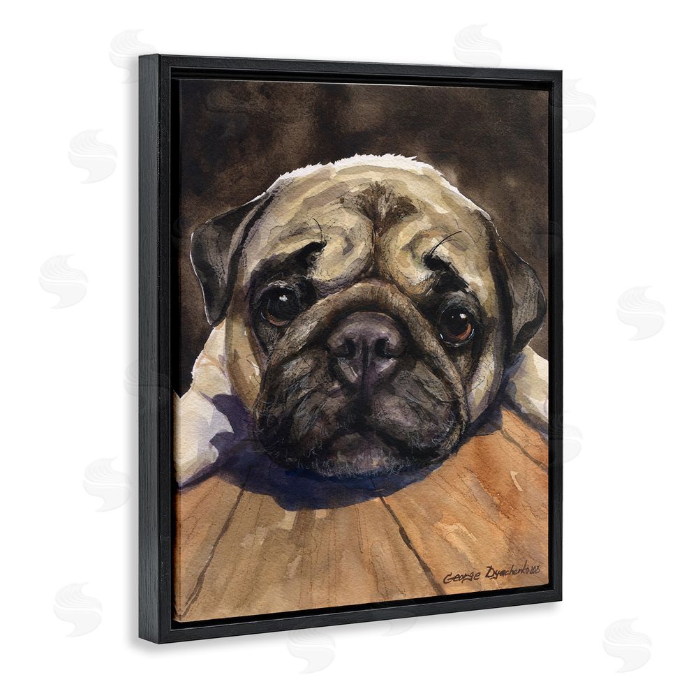 George Dyachenko Pug Soulful Portrait Black Floating Frame Canvas Wall Art Print